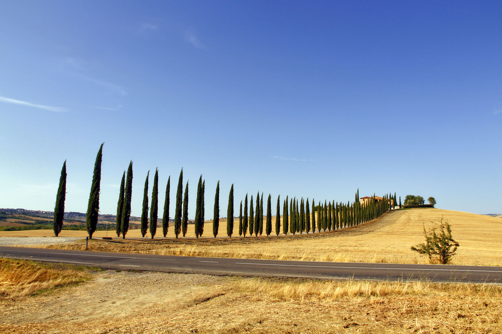 Poggio Covili Val d'Orcia Toscana