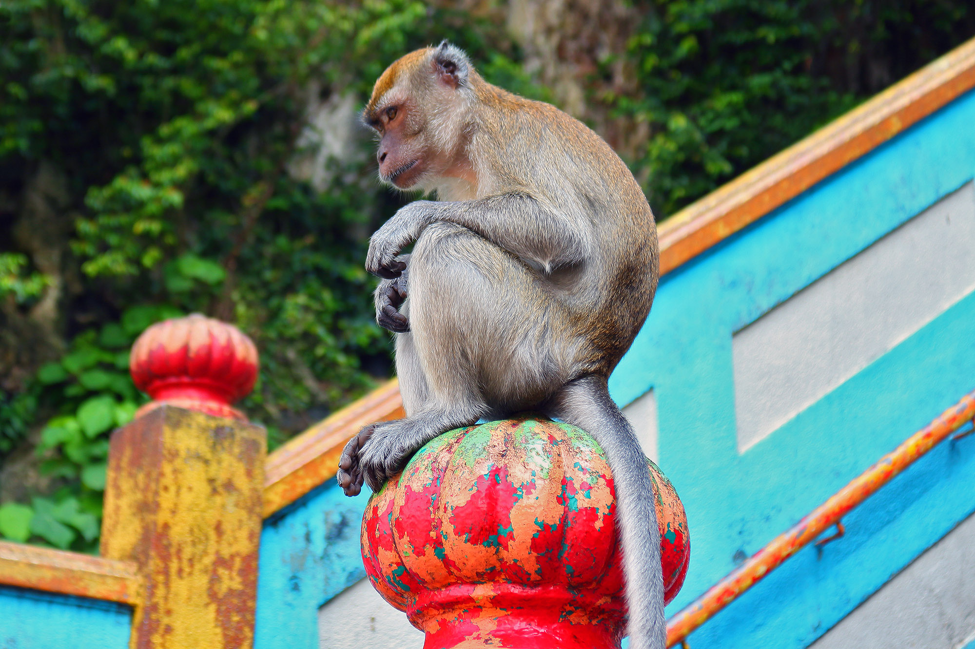 Batu Caves