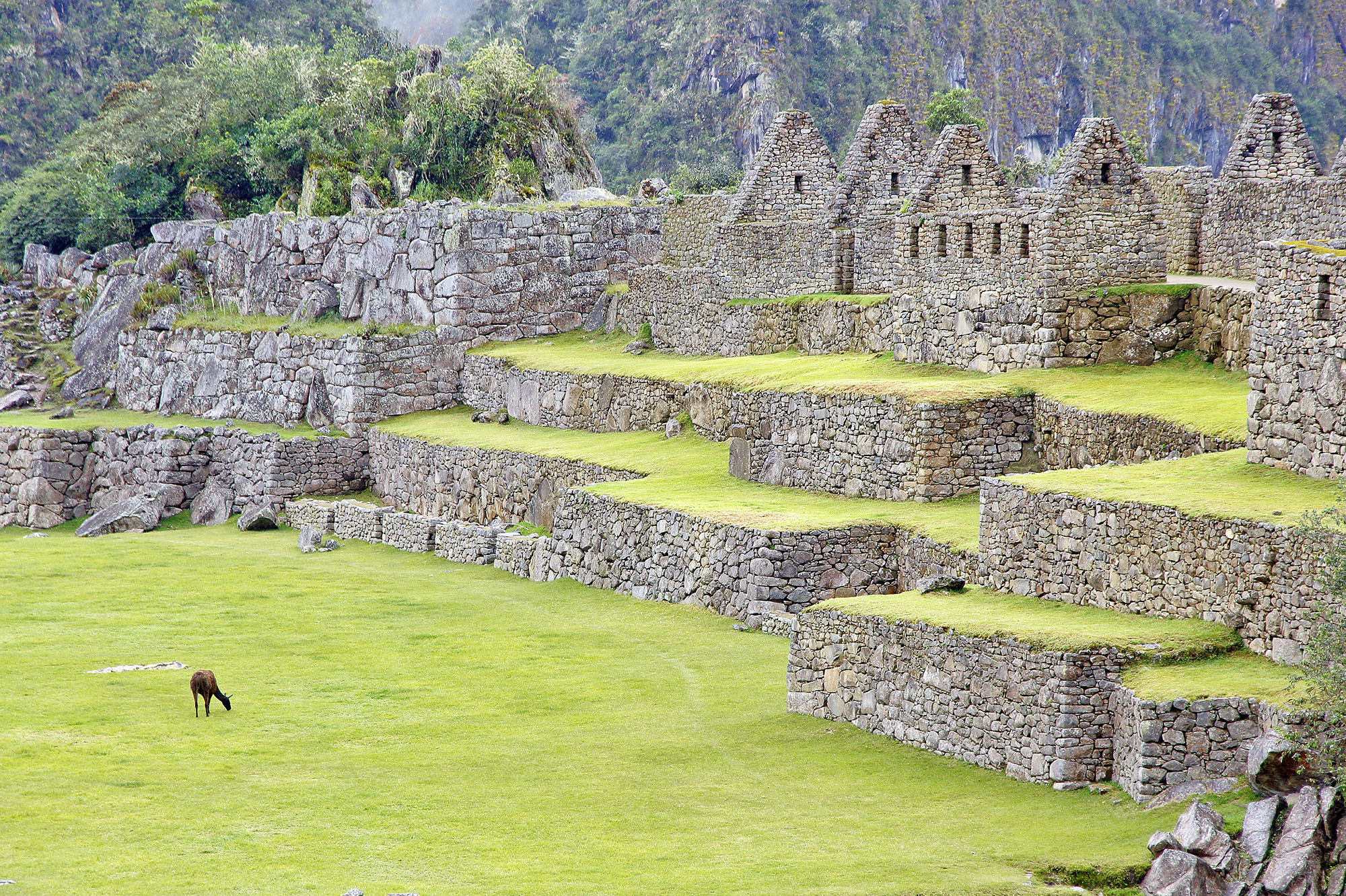 Machu Picchu