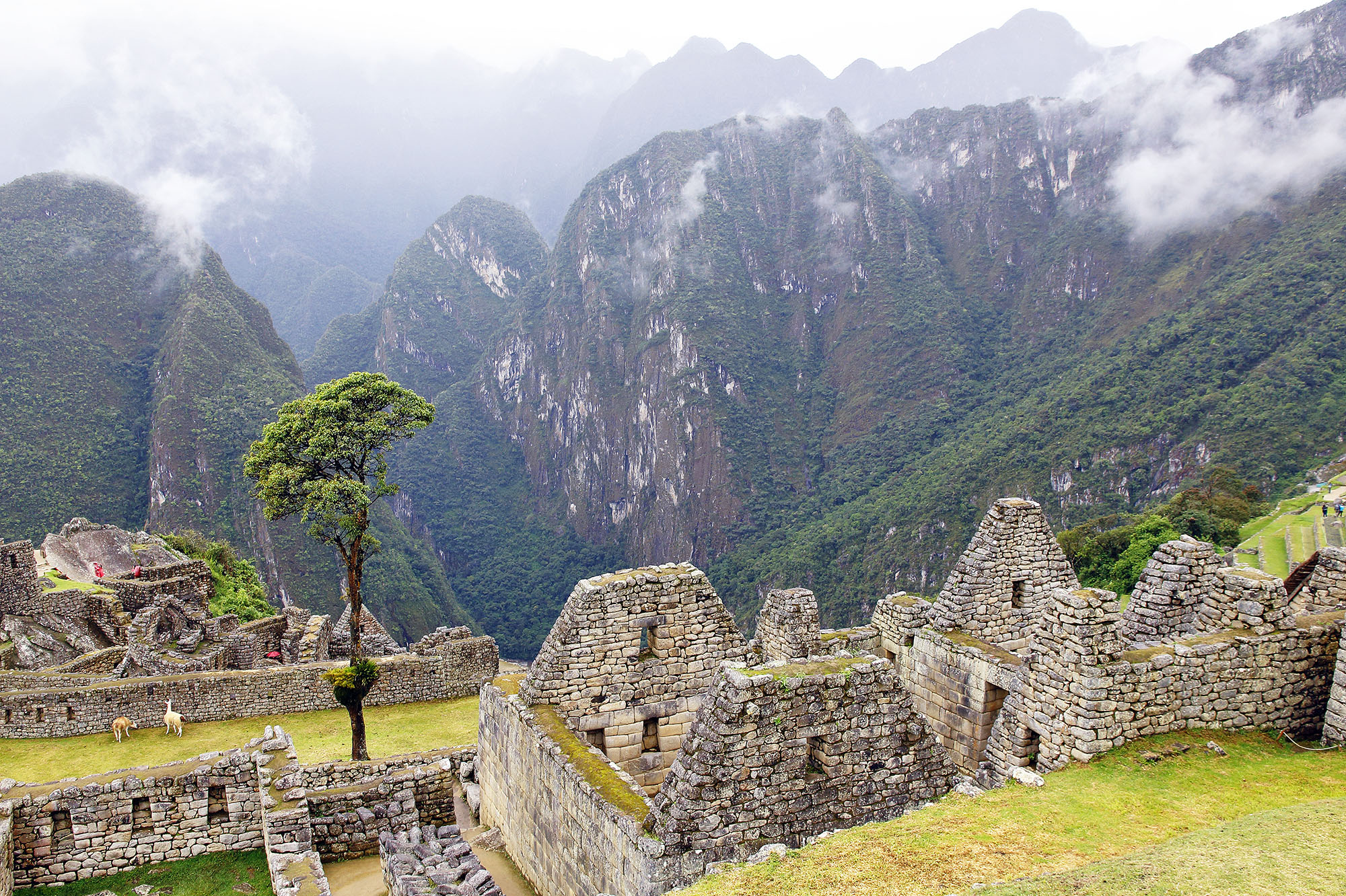 Machu Picchu