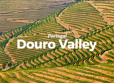 Douro Valley News